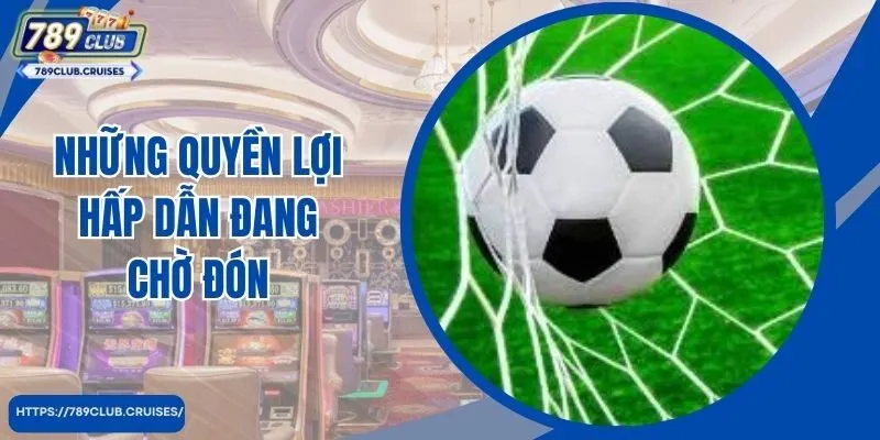 Những quyền lợi hấp dẫn đang chờ đón