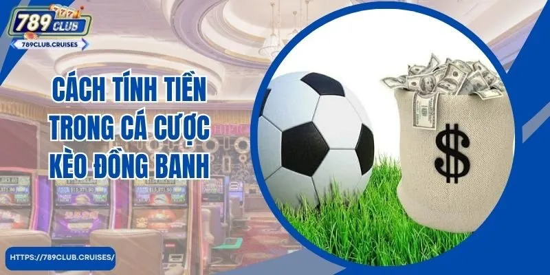 Cách tính tiền trong cá đánh giá đồng bánh